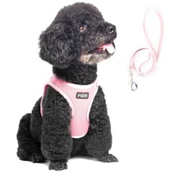 Fida Comfy Dog Harness with Leash, Soft Puppy Vest Escape Proof, Breathable Lightweight Soft Mesh, Adjustable Reflective Step-in Harness for Small & Medium Pet Walking (M, Pink)