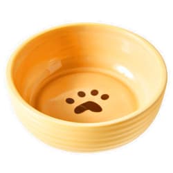 SPOT Ethical Products Elegance Dog Dish Cream 5