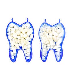 Angzhili Dental Temporary Crown Kit Dental Material Anterior Front & Molar Posterior Temporary Crown Veneers(Pack of 2)