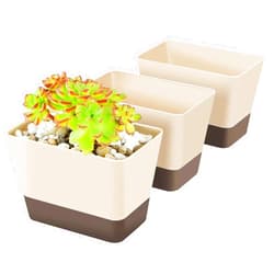 SUREAM Succulent Pots with Tray, 3 Pack 6 x3.8 Inch Herb Window Boxes Office Cactus Planters Plastic Rectangle Plants Containers with Saucer for Windowsill, Garden Balcony, Porch