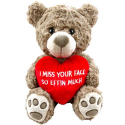 Messenger Bear I Miss Your Face Teddy Bear 10” Sitting | I Miss You Gifts for Her | Funny Gifts for Girlfriend