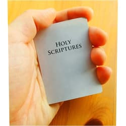 DAONEG Vongsado 24 Pads Jehovah Witness Bible Sticky Notes Accessories Gifts Idea Verses of Ministry Supplies Notebook - for JW Jehovah's Witnesses JW.org Pioneer Convention Kids Women Men (P24)