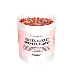 Ryan Porter I See It I Like It Candle