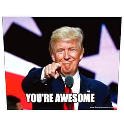 SassyXpressions You're Awesome - Trump Pointing at You - Refrigerator Magnet