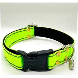 LWITDOG Reflective Dog Collar, Anti-Loss Customizable Information Collar, Solid and Comfortable, Safety Buckle, Adjustable Length, Suitable for Small and Medium-Sized Dog(S, Green)