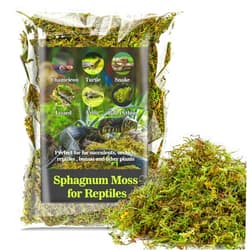 Sukh Sphagnum Moss for Reptiles - Terrarium Moss for Reptiles Peat Moss for Reptiles Habitat Bedding Moss for Snakes Turtle Frog Gecko and Other Reptiles Substrate (3, Ounces)