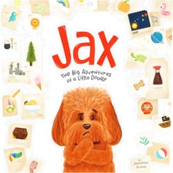 Jonathan Akashi Jax: The Big Adventures of a Little Doodle