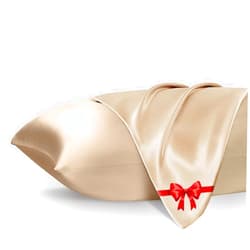 mikimini Queen Satin Pillowcase with Zipper, 2 Pcs,20 x 30 Inches High-Grade Simulated Silk Material, Giving You The Effect of a Real Silk Pillowcase,Soft,Cooling,Machine Washable (Noble Champagne)