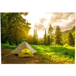 LFEEY 9x6ft Pine Forest Camping Background for Photography Sunrise Outdoor Travel Scout Mountains Landscape Grassland Camp Tents Backdrop Holiday Vacation Photo Shoot Props