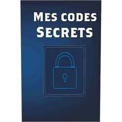 Mes carnets Sécurisés Mes codes secrets: carnet de mots de passe alphabétique | utile protéger vos mots de passe et identifiants Internet | Icahier mot de passe | Format A5 | Pages numérotées (French Edition)