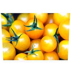 Unknown Golden Sweet Cherry Tomato