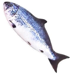 OPHRBU 24 Inch Simulation Fish Plush Toy Pillow Soft Fish Cushion Pillow Stuffed Animal Toy for Cat Pets or Kids Birthday Gifts