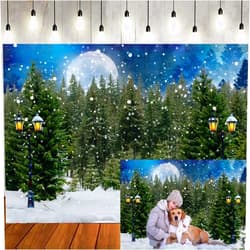 LTLYH 7x5ft Winter Forest Backdrop Winter Photo Backdrokp Glitter Spot Green Pine Trees Snowy Wonderland Background Party Decor Banner Portrait Photo Booth Props 230