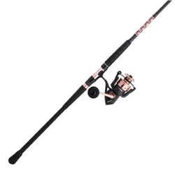 Penn Passion II Spinning Reel and Fishing Rod Combo