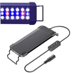 Pawfly 6 W Terrarium Light for 6