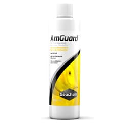 Seachem AmGuard 250ml