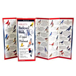 David Allen Sibley Sibley's Backyard Birds of the Midwest