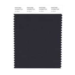 PANTONE Smart 19-0303X Color Swatch Card, Jet Black