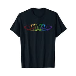 Süße Degu Käfig Futter Spielzeug Zubehör Geschenke Degu LGBT Rainbow Shrub Rat Common Degu T-Shirt