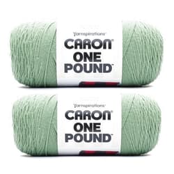 Caron One Pound Succulent Yarn - 2 Pack of 16oz/453.6g - Acrylic - #4 Worsted (Medium) - 812 Yards - Knitting & Crochet
