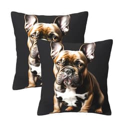 YQxwJL Long Ears French Bulldog Print Throw Pillow Cases Pack of 2, Decorative Cushion Covers for Couch Bed Sofa Farmhouse 18 X 18 Inch