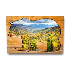 VIUBGCPS Canvas Print Picture Creative Bear Wall Art Painting Smoky Mountains National Park Framed And Stretched Poster Home Decor Artwork 20x32 Inches