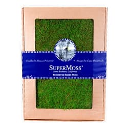 SuperMoss (21485) Sheet Moss – Flat Moss for Plants, Terrariums, Wedding Decor & Crafts, Safe, Non-Toxic, Long-Lasting Green Moss for Indoor Plants, Vivariums & Green Wall Art, 175 Cu. in., Preserved