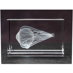 Blue Tree Publishing Eye 3D Crystal, Anatomy, Ophthalmologist and Opthomologist Gift