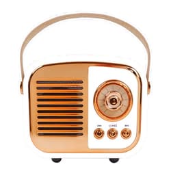 Aresrora Retro Bluetooth Speaker, Vintage Wireless Speaker,Portable Mini Radio Old Fashion Style for Room Decor Kitchen Desk Bedroom Office,Supports TWS Pairing for iPhone,Android Devices (Pink)