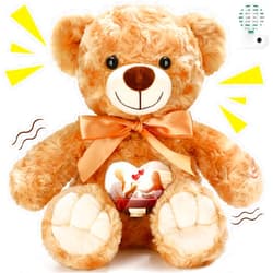Silipull Remembrance Bear 12 Inch Rose Velvet Stuffed Animal with Recorder Brown Voice Recording Stuffed Animal with Picture Frame Recordable Gifts Fabric Toy