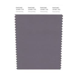PANTONE Smart 18-0601X Color Swatch Card, Charcoal Gray