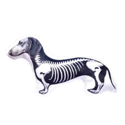 Springcos Dachshund Skeleton Pillow Halloween Pillows Doxie Skeleton Dog Mom Gift (04)