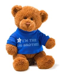 GUND “I’m The Big Brother” Message Bear with Blue T-Shirt, Teddy Bear Stuffed Animal for Ages 1 and Up, Brown, 12”