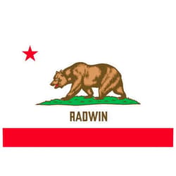 Brian Bula Radwin California Flag Sticker Decal Mega Deal 6 Stickers for This California City or Location