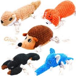 LEGEND SANDY Plush Small Dog Toys for Small Breeds, Tough Puppy Toys to Keep Them Busy, Tough Stuffed Animals Puppy Chew Toys, Squeaky Dog Toys (5 Pack Puppy Toys)