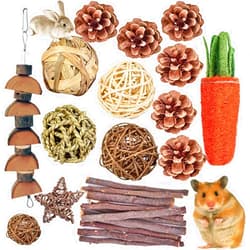 QHZHANG Hamster Chew Toys，24PCS Combined Chew Toys Molar Sticks Sweet Bamboo Apple Branch Molar Toy for Rabbits Pets Chinchilla Squirrel Gerbil Hamster Squirrel Guinea