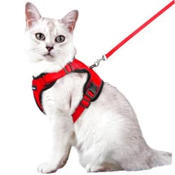 rabbitgoo Cat Harness and Leash for Walking, Escape Proof Soft Adjustable Vest Harnesses for Cats, Easy Control Breathable Reflective Strips Jacket, Red, M