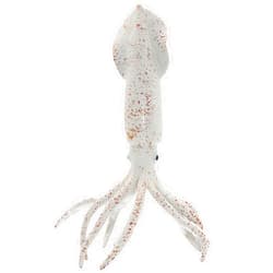Gemini&Genius Squid Toy for Kids - Marine Animal Ocean World Toy Figure - 6 Inches Length-Sea Animal Action Figure Toy for Kids