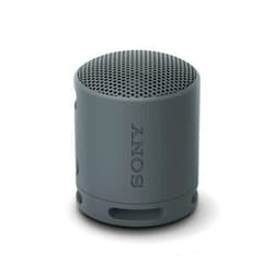 Sony SRS-XB100 Wireless Bluetooth Portable Lightweight Travel Speaker (Black) (Renewed)