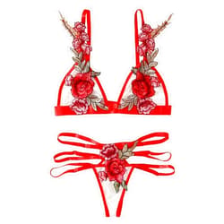 Generic Thong Bra Lingerie Rose Embroidery Sexy Lace Bustier Flowers G-String Bralette Yes Daddy Bra (Red, M)