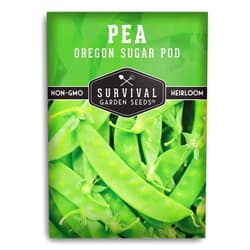 Survival Garden Seeds -Oregon Sugar Pod II Pea Seed for Planting - Packet with Instructions to Plant and Grow Delicious Snow Peas in Your Home Vegetable Garden - Non-GMO Heirloom Variety