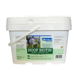 Uckele Hoof Biotin - Hoof Support for Horses - 6 pound (lb)
