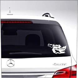 Aampco Decals Serenity Firefly Spaceship Leaf On The Wind Car Truck Motorcycle Windows Bumper Wall Decor Vinyl Decal Sticker Size- [8 inch/20 cm] Wide/Color- Matte White