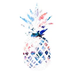 EMC Graphics Pineapple Watercolor Swirl Vinyl Waterproof Sticker Decal Car Laptop Wall Window Bumper Sticker 5