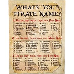 VelfDuel What is Your Pirate Name Poster Metal Tin Signs 8x12 Inch Tin Sign Metal
