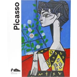 French Edition by Andral jean-louis / cowling elisabeth / godefroy cecile / laniado-romero bernard (Author) PICASSO