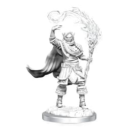 Dungeons & Dragons D&D: Nolzur's Marvelous Unpainted Minis: Elf Cleric Male WZK 90404