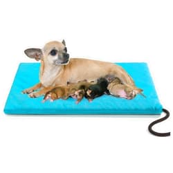 JLSAME Pet Heating Pad, 20