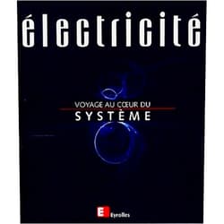 Patrick Bastard,Daniel Fargue,Philippe Laurier,Bernard Mathieu,Muriel Nicolas,Philippe Roos Électricité, voyage au coeur du système