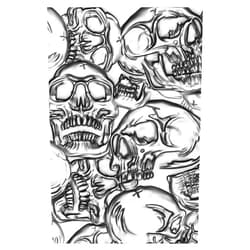 Sizzix Sizzx 3-D Texture Fades Embossing Folder Skulls by Tim Holtz | 665771 | Chapter 3 2022, Multicolor